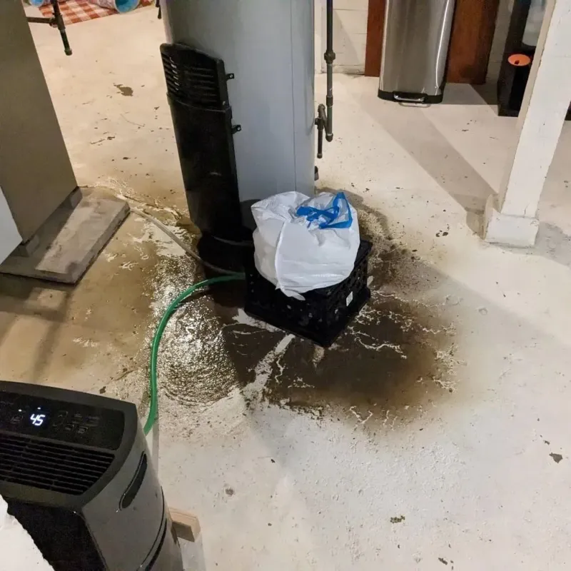 Sewage Backup Cleanup Service in Bear Valley Springs, CA